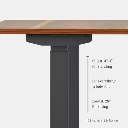 Branch Duo Standing Desk 36 Inches - Adjustable Standing Desk with 20” Range - OLED Control Panel - Frameless Design & Compact Size Suitable for Many Spaces - White Base - White Top