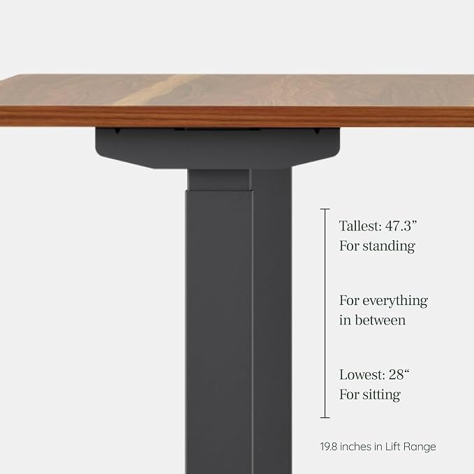 Branch Duo Standing Desk 36 Inches - Adjustable Standing Desk with 20” Range - OLED Control Panel - Frameless Design & Compact Size Suitable for Many Spaces - White Base - Walnut Top