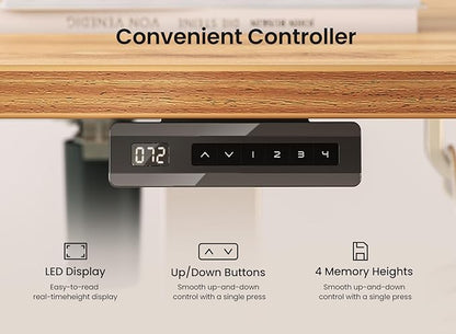 BANTI 48 × 24 Inches Standing Desk, Ergonomic, Electric Height Adjustable, Sit and Stand Up, Computer Office Desk with Splice Board, White Frame/Light Rustic Top