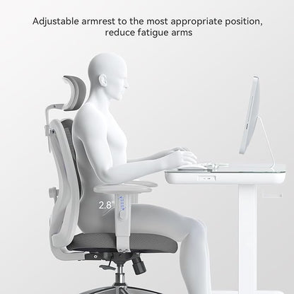 SIHOO M18 Ergonomic Office Chair, Computer Desk Chair with Adjustable Headrest and Lumbar Support, High Back Executive Swivel Chair for Home Office (Dark Gray)