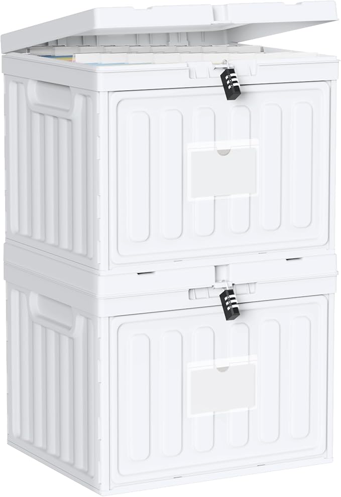 2 Drawer File Cabinets,Plastic File Box for Letter Size Hanging File Folders, Easy Carry Small File Cabinet for Home, Office, School,Stackable Storage Filling Box, White