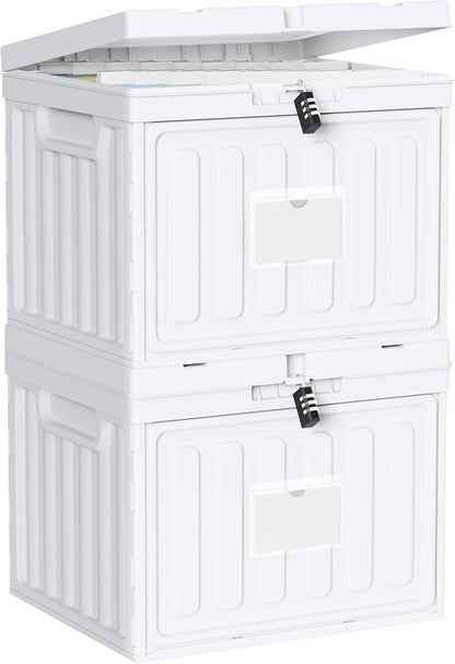 2 Drawer File Cabinets,Plastic File Box for Letter Size Hanging File Folders, Easy Carry Small File Cabinet for Home, Office, School,Stackable Storage Filling Box, White