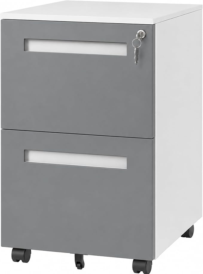SAWJEC 2 Drawer File Cabinet with Lock, Fully Assembled Filing Cabinet Rolling Printer Stand Under Desk fits Legal/A4/Letter Size, Home Office Storage,18" D x 15" W x 27" H, Grey