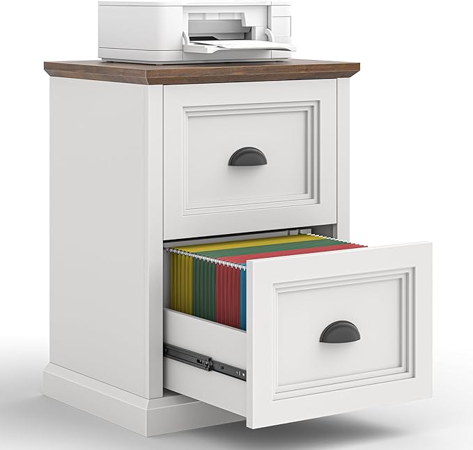 Halitaa Vertical File Cabinet, Filing Cabinet with 2 File Drawers, Farmhouse Small File Cabinet Fits Letter/A4 Size, Wooden Printer Stand, Under Desk Cabinets for Home Office, White