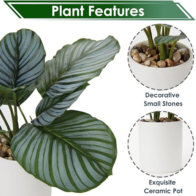 Briful Small Fake Plant 13" Faux Calathea Plants Indoor Artificial Potted Plant in White Ceramic Greenery House Plant for Home Table Office Bathroom Shelf Living Room Desk Decoration