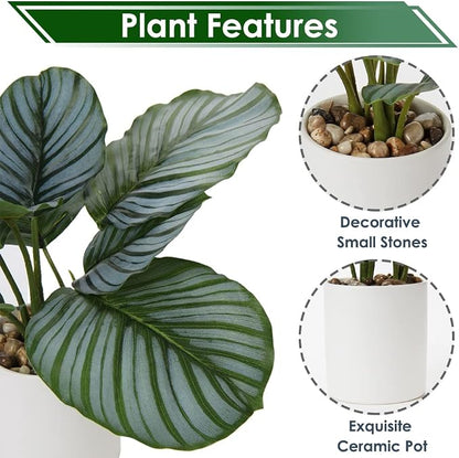 Briful Small Fake Plant 13" Faux Calathea Plants Indoor Artificial Potted Plant in White Ceramic Greenery House Plant for Home Table Office Bathroom Shelf Living Room Desk Decoration
