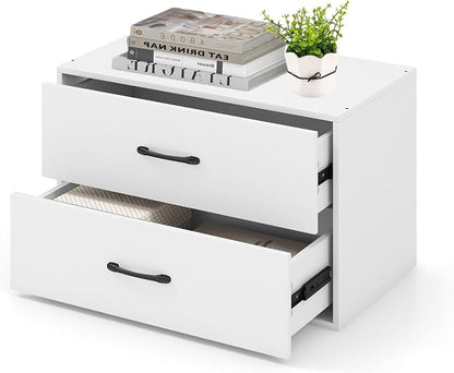 2 Drawer Lateral File Cabinet, Stackable Home Office Drawers, Under Desk Printer Stand, Low Storage Organizer, Horizontal Wooden Filing Cabinet for Study Living Room, No Wheels (1, White)