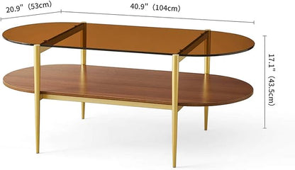 LumFurn Oval Glass Coffee Table, Mid-Century Modern Design, L41 x W21 x H17 inch, for Living Room, 2-Tier Structure, Amber Glass Top and Walnut Finish Wood Shelf, Conical Legs with Gold Finish Frame