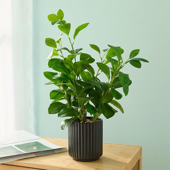 16 inch Artificial Plants Indoor Realistic Touching Evergreen Leaf Fake Plant with Creamic Black Pot for Home Office Living Room Bathroom Office Table Bookshelf Decor