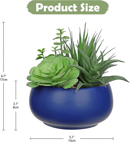 Fake Plants Artificial Succulents in Pots Faux Succulent Arrangement Potted Plant with Blue Ceramic Pot for Home Decor Modern Office Desk Bathroom Shelf Living Room Indoor & Outdoor Decoration