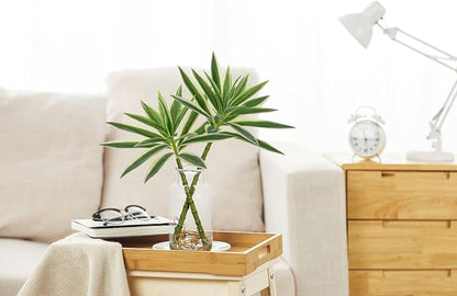 GnFlus Artificial Plants Stems in Glass Vase with Faux Water,Fake Silk Plant Dracaena Leaves for Centerpiece Table Decorations Farmhouse Wedding Home Greenery Decor (Green and White)