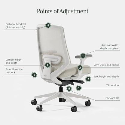 Branch Ergonomic Chair Pro - Mesh Office Chair with 14 Points of Adjustment - Height, Depth & Tilt Adjustable - 5D Armrests - Forward Tilt, Smooth Recline, and Lumbar Support - Shore
