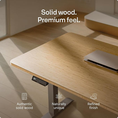 Desktronic HomeOne Standing Desk 60x30 — Ergonomic Sit Stand Home Office Desk, Made in Europe, Electric Dual Motor Height Adjustable, USB & USB-C Charging, Wobble-Free, Touchscreen, 3 Memory Presets