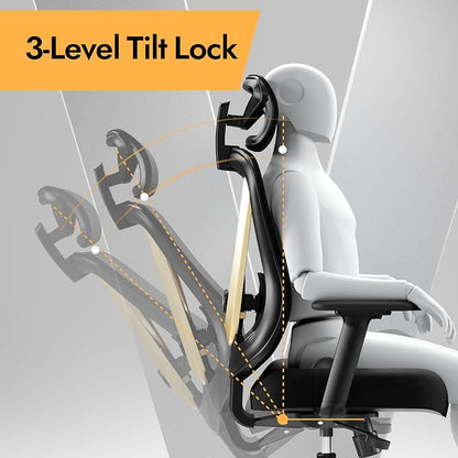 HOLLUDLE Ergonomic Mesh Office Chair - 3D Adjustable Lumbar Support & 3D Armrests, V-Shaped Back, Adjustable Desk Chair for Office & Home, Black and Gold