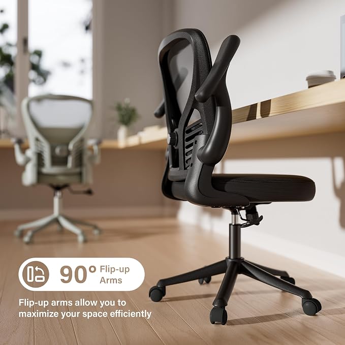 GYI Ergonomic Mesh Office Desk Chair, Black | 3D Flip-up Arms, Adjustable Lumbar Support, Adjustable Height, Study Room, Bedroom, Conference Room