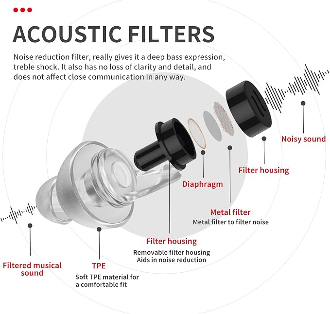 LYSIAN High Fidelity Concert Ear Plugs, 23dB Noise Reduction Musician Earplugs for Festivals, DJs, Drummers, Raves and Motorcycle Riding, Reusable Hearing Protection, 2 Pairs with Carrying Case