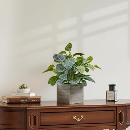 2 Pack 12" Medium Eucalyptus Fake Plants, Artificial Plants Indoor with 4 Inch Wooden Planters, Faux Potted Silk Plants for Home Decor, Desk, Shelves, Desktop, Coffee Table, Bedroom