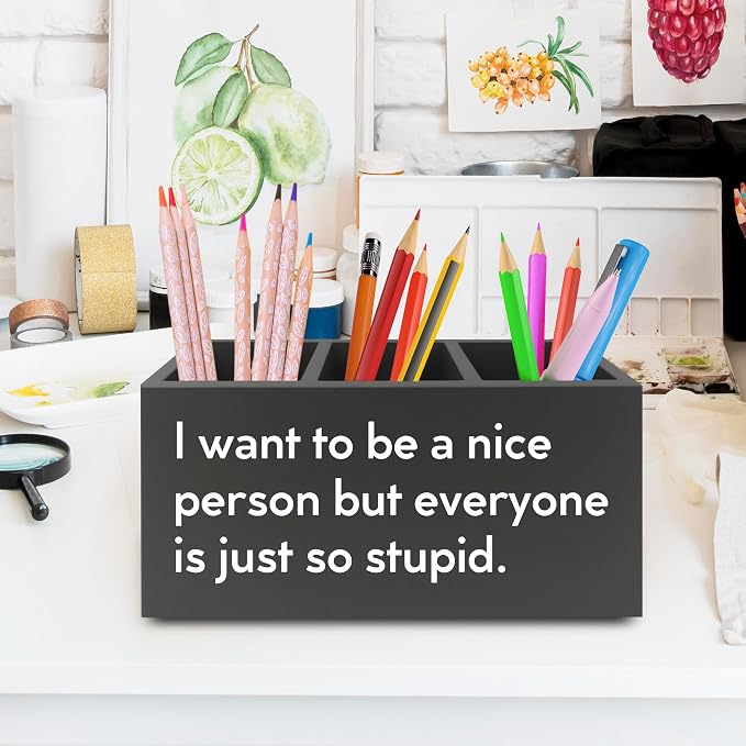 Funny Pen Pencil Holder Organizer for Desk, Sarcastic Gifts for Women Men Coworkers, Office Humor Gifts, Funny Wooden Box Sign for Home Office Desk Tabletop Decorations