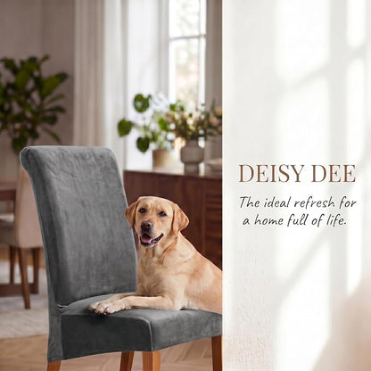 Deisy Dee Stretch XL/Oversized Extra Large Velvet Dining Room Chair Covers for Kitchen Dining，Removable Washable Chair Protectors Slipcovers (Grey, 4)