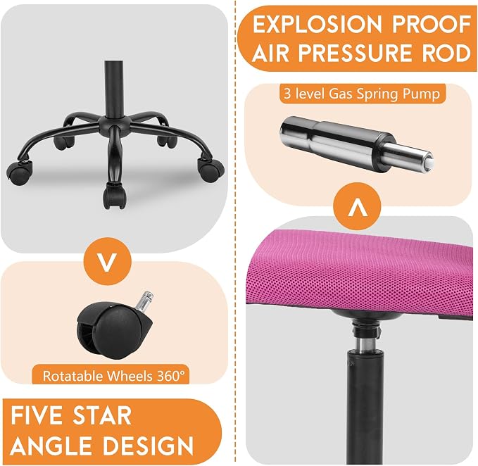 FDW Home Office Chair Mid Back Mesh Desk Chair Armless Computer Ergonomic Task Rolling Swivel Chair Back Support Adjustable Modern with Lumbar Support