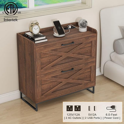 Halitaa File Cabinet 2 Drawers Lateral File Cabinet with Charging Station for Letter/Legal/A4 Size Hanging Files, Large Wood File Storage Cabinets Printer Stand for Home Office, Dark Walnut