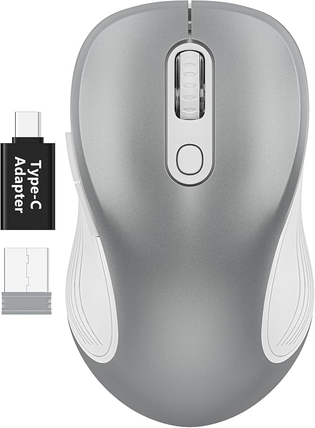 WisFox 2.4G Wireless Mouse for Laptop, Ergonomic Computer Mouse with USB Receiver and Type-C Adapter, 3 Adjustable Levels DPI, 6 Button Cordless Wireless Mice (Silver)