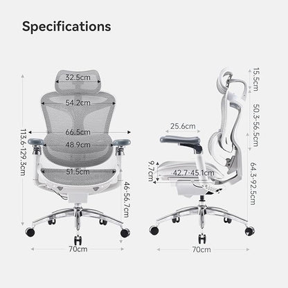 SIHOO Doro C300 Pro Ergonomic Office Chair with Ultra-Soft 6D Armrests, Dynamic Lumbar Support, Seat Depth Adjustment, Adjustable Backrest, Big and Tall Desk Chair 2 Packs (Grey)