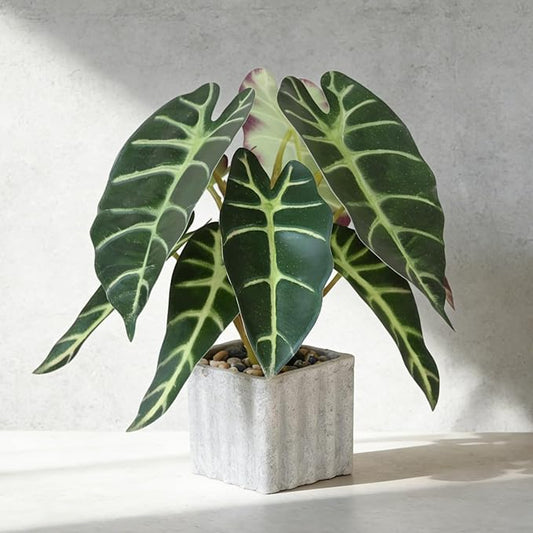 Muhanjia Artificial Potted Plant, Lifelike Faux Greenery in Decorative Cement-Look Square Pot for Indoor Home Decor Centerpieces (Alocasia)