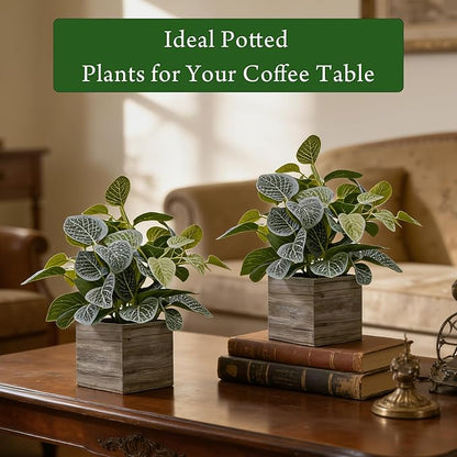 2 Pack 12" Medium Eucalyptus Fake Plants, Artificial Plants Indoor with 4 Inch Wooden Planters, Faux Potted Silk Plants for Home Decor, Desk, Shelves, Desktop, Coffee Table, Bedroom