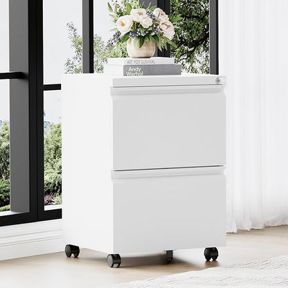 RAVIGIN 2 Drawer File Cabinet，Mobile Filing Cabinet with Lock and Wheels，Fully Assembled Metal Under Desk File Cabinets for A4/Letter/Legal Size（White