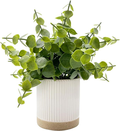 Coferset Small Fake Plants Eucalyptus Potted Artificial Plants Faux Plant Greenery in Ceramic Pot for Bedroom Kitchen House Living Room Shelves Farmhouse Table Office Desk Bathroom Home Indoor Decor