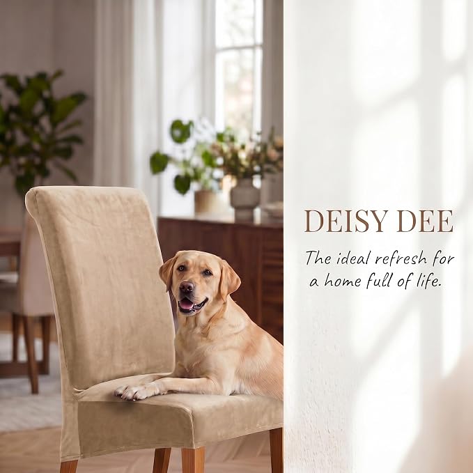 Deisy Dee Stretch XL/Oversized Extra Large Velvet Dining Room Chair Covers for Kitchen Dining，Removable Washable Chair Protectors Slipcovers (Khaki, 2)