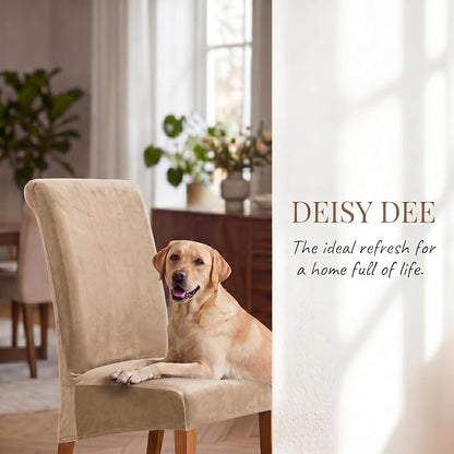 Deisy Dee Stretch XL/Oversized Extra Large Velvet Dining Room Chair Covers for Kitchen Dining，Removable Washable Chair Protectors Slipcovers (Khaki, 2)
