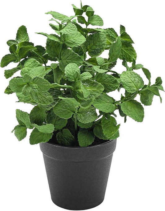 Coferset Small Fake Plants Mint Artificial Potted Plants for Home Office Bathroom Shelf Farmhouse Coffee Table Decor (Green)