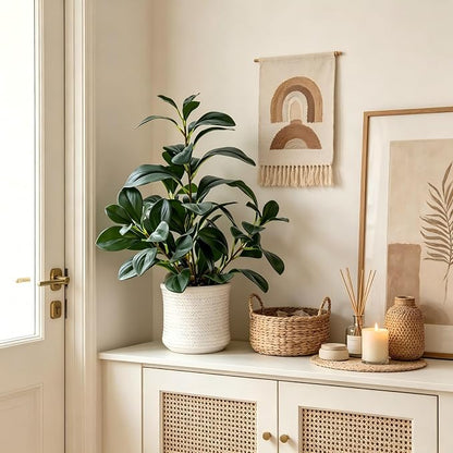 AlphaAcc 16 inch Artificial Indoor Plants Office Desk Faux Plant Peperomia Leaf Ficus Plant Realistic Small Fake Farmhouse Plants for Home Kitchen Bathroom Bedroom Evergreen Decor