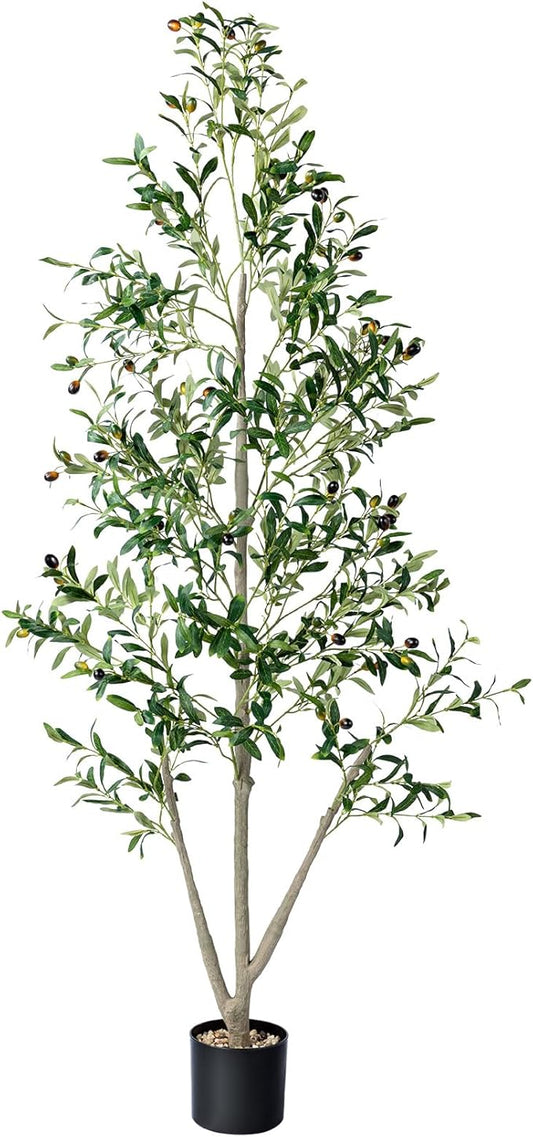 Olive Trees Artificial Indoor, 6FT Tall Faux Olive Tree with Moss and Planter, Artificial Plants Indoor with Realistic Silk Leaves and Lifelike Fruits, Fake Tree for Home Office Living Room Decor