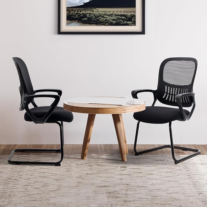 DUMOS Office Desk Chair with Sled Base Set of 2, Ergonomic Executive Mesh Computer Chairs with Lumbar Support for Home Bedroom Waiting Reception Guest Student
