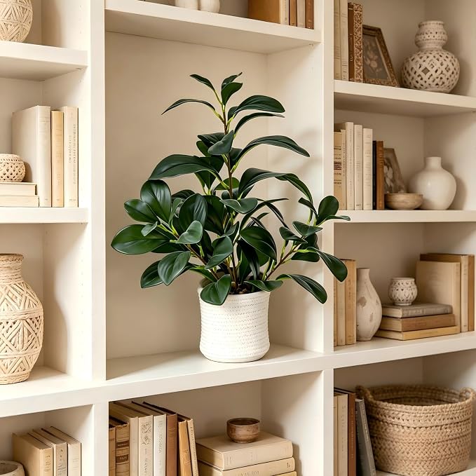 AlphaAcc 16 inch Artificial Indoor Plants Office Desk Faux Plant Peperomia Leaf Ficus Plant Realistic Small Fake Farmhouse Plants for Home Kitchen Bathroom Bedroom Evergreen Decor