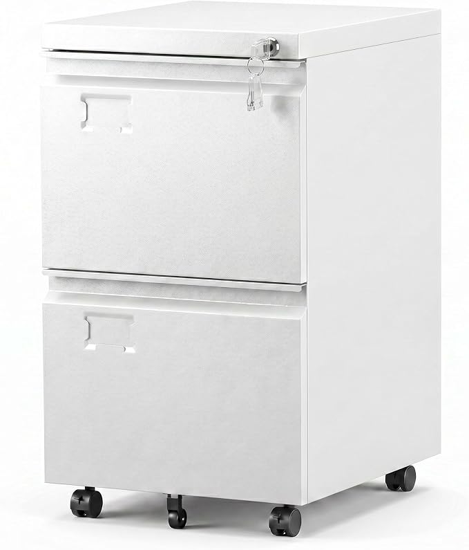 SUXXAN 2 Drawer Mobile File Cabinet with Lock, Heavy Duty Steel Under Desk Filing Cabinet for Home Office, Anti-Tip Design with 5 Casters, Assembly Required