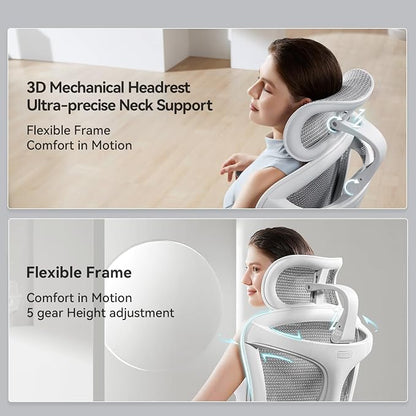 SIHOO Doro C300 Pro Ergonomic Office Chair with Ultra-Soft 6D Armrests, Dynamic Lumbar Support, Seat Depth Adjustment, Adjustable Backrest, Big and Tall Desk Chair 2 Packs (Grey)