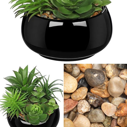 Hollyone Artificial Succulents in Pots Fake Plants Faux Succulent Arrangement Potted Plant in Vase Black Ceramic Planter Bowl for Office Desk Bathroom Shelf Living Room Indoor Outdoor Home Decor