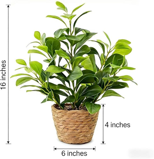 16 inch Artificial Peperomia Potted Plant in Woven Basket Planter Lifelike Two Tone Green Leaves Faux Indoor Branches for Home Office Desk Shelf Bathroom Table Decor