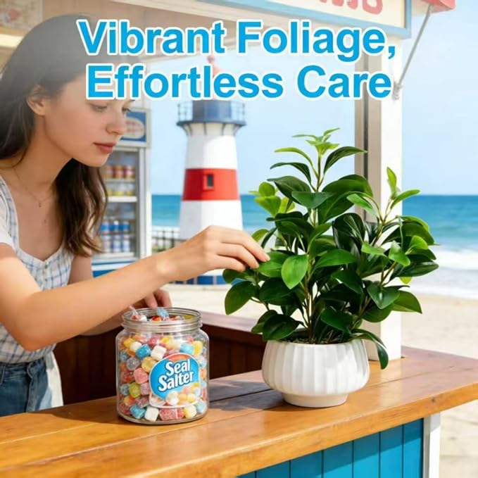 Artificial Peperomia Plants 16.5” Tall Lifelike Faux Greenery in 6” White Ribbed Ceramic Planter Realistic Indoor Fake Potted Plant for Home Office Desk Shelf Bathroom Bedroom Farmhouse Decor