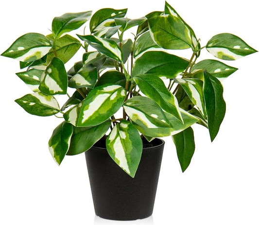 Oairse Artificial Plants Indoor Small Fake Plants in Pots Faux Pothos N‘ Joy Potted Plant Fake Indoor Plants with Black Pots for Bathroom Living Room Office Desk Shelves