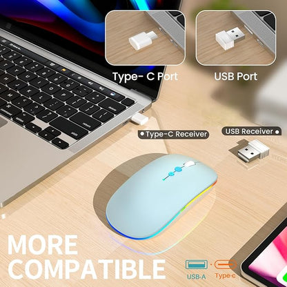 Halpilt LED Wireless Mouse A100S Rechargeable Portable Silent Mouse with Optional USB and Type-C Receiver 3-Speed Adjustable DPI for PC/Mac/Laptop (Frosted Blue)