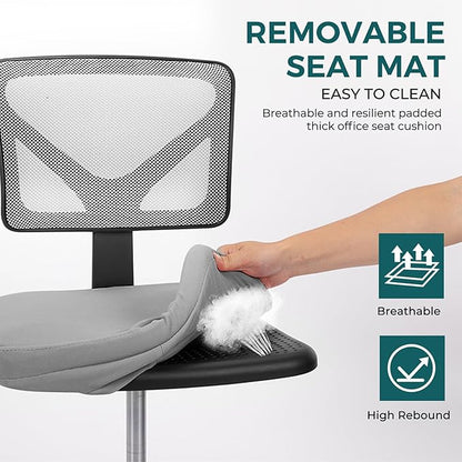 DUMOS Small Office Chairs with Wheels, Ergonomic Adjustable Home Desk Swivel Rolling Task Chair No Arms, Comfy Mesh Mid Back Computer Work Vanity Desk Chairs for Small Spaces, New Grey