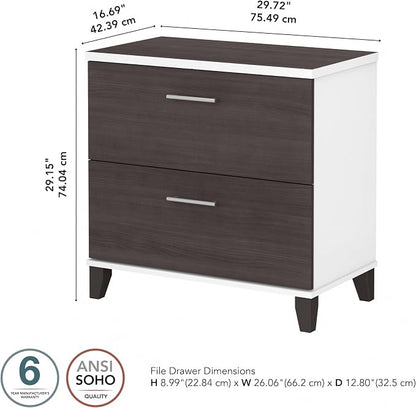 Bush Home 2 Drawer Lateral File Cabinet, Letter and Legal-Size Document Storage for Home or Professional Office, Somerset Collection, White and Storm Gray