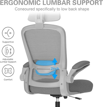 Mimoglad Office Chair, High Back Ergonomic Desk Chair with Adjustable Lumbar Support and Headrest, with flip-up Armrests for Guitar Playing, 5 Years Warranty (Modern, Grey/Gray)