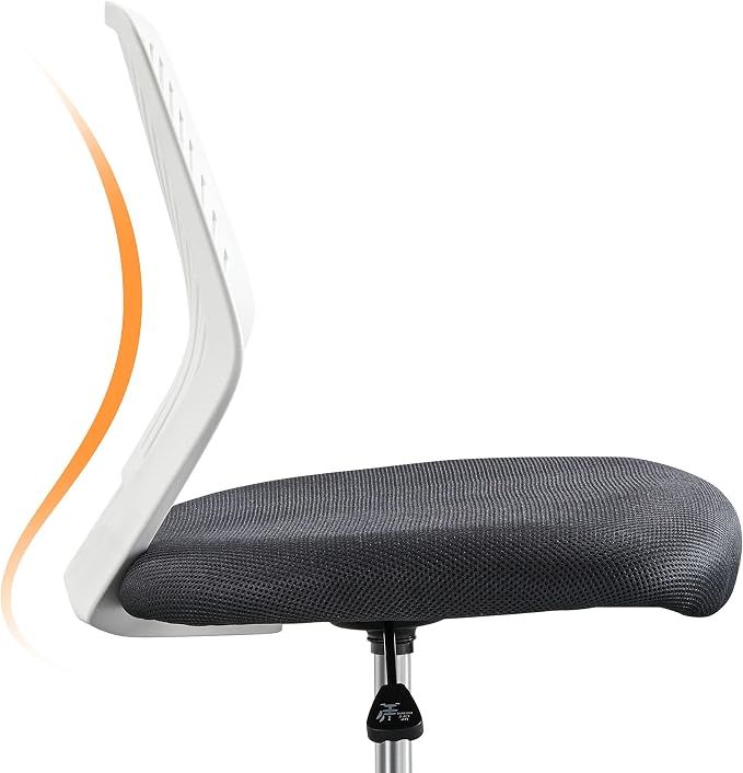 Topeakmart Armless Task Desk Chair - Mesh Lumbar Support, Ergonomic, Swivel for Small Spaces, Dark Gray