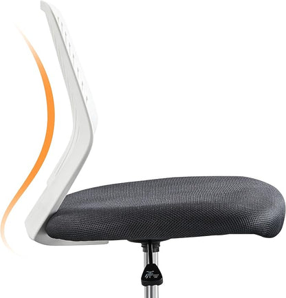Topeakmart Armless Task Desk Chair - Mesh Lumbar Support, Ergonomic, Swivel for Small Spaces, Dark Gray